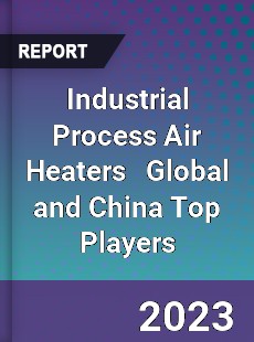 Industrial Process Air Heaters Global and China Top Players Market