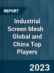 Industrial Screen Mesh Global and China Top Players Market