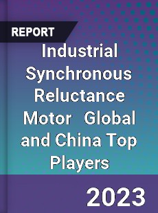 Industrial Synchronous Reluctance Motor Global and China Top Players Market