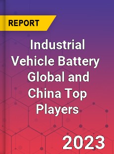 Industrial Vehicle Battery Global and China Top Players Market