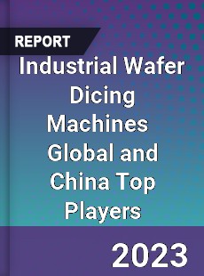 Industrial Wafer Dicing Machines Global and China Top Players Market