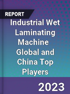 Industrial Wet Laminating Machine Global and China Top Players Market