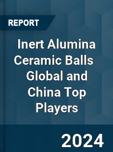 Inert Alumina Ceramic Balls Global and China Top Players Market