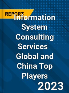 Information System Consulting Services Global and China Top Players Market