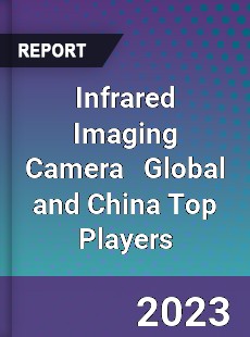 Infrared Imaging Camera Global and China Top Players Market