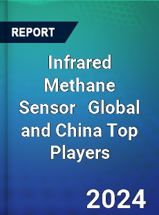 Infrared Methane Sensor Global and China Top Players Market