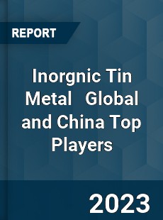 Inorgnic Tin Metal Global and China Top Players Market