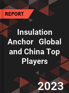 Insulation Anchor Global and China Top Players Market