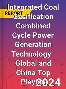 Integrated Coal Gasification Combined Cycle Power Generation Technology Global and China Top Players Market