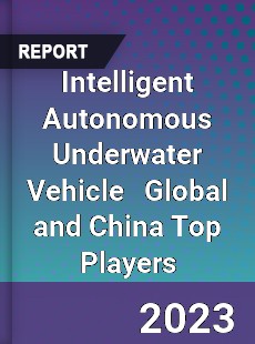 Intelligent Autonomous Underwater Vehicle Global and China Top Players Market