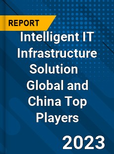 Intelligent IT Infrastructure Solution Global and China Top Players Market