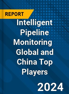 Intelligent Pipeline Monitoring Global and China Top Players Market