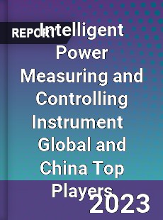 Intelligent Power Measuring and Controlling Instrument Global and China Top Players Market