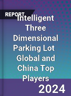 Intelligent Three Dimensional Parking Lot Global and China Top Players Market