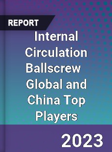 Internal Circulation Ballscrew Global and China Top Players Market