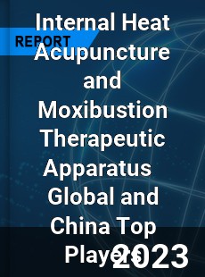 Internal Heat Acupuncture and Moxibustion Therapeutic Apparatus Global and China Top Players Market