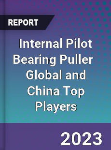 Internal Pilot Bearing Puller Global and China Top Players Market