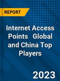 Internet Access Points Global and China Top Players Market