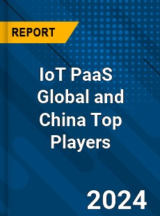 IoT PaaS Global and China Top Players Market