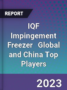 IQF Impingement Freezer Global and China Top Players Market