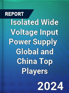 Isolated Wide Voltage Input Power Supply Global and China Top Players Market