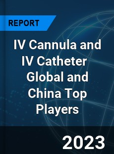 IV Cannula and IV Catheter Global and China Top Players Market