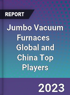 Jumbo Vacuum Furnaces Global and China Top Players Market