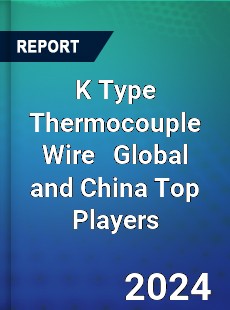 K Type Thermocouple Wire Global and China Top Players Market