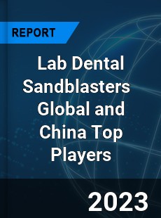 Lab Dental Sandblasters Global and China Top Players Market