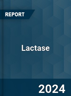 Lactase Market Industry Dynamics Market Size And Opportunity