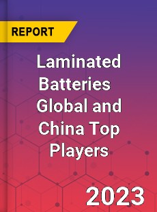 Laminated Batteries Global and China Top Players Market