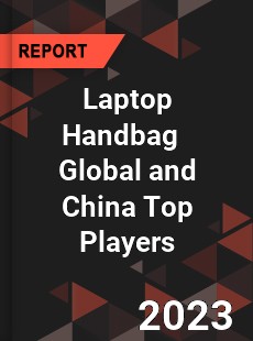 Laptop Handbag Global and China Top Players Market