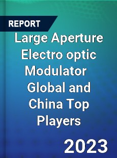 Large Aperture Electro optic Modulator Global and China Top Players Market