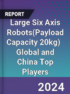 Large Six Axis Robots Global and China Top Players Market