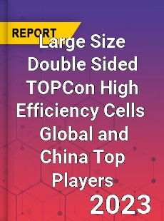 Large Size Double Sided TOPCon High Efficiency Cells Global and China Top Players Market