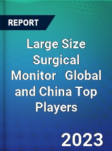 Large Size Surgical Monitor Global and China Top Players Market