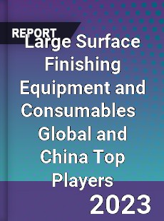 Large Surface Finishing Equipment and Consumables Global and China Top Players Market