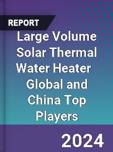 Large Volume Solar Thermal Water Heater Global and China Top Players Market