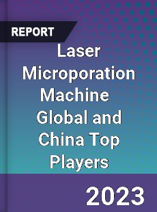 Laser Microporation Machine Global and China Top Players Market