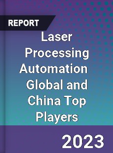 Laser Processing Automation Global and China Top Players Market