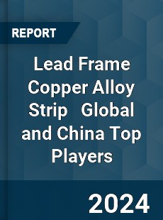 Lead Frame Copper Alloy Strip Global and China Top Players Market