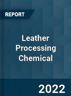 Leather Processing Chemical Market