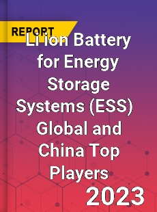 Li ion Battery for Energy Storage Systems Global and China Top Players Market