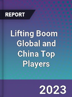 Lifting Boom Global and China Top Players Market