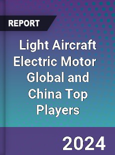 Light Aircraft Electric Motor Global and China Top Players Market