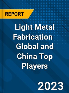 Light Metal Fabrication Global and China Top Players Market