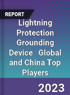 Lightning Protection Grounding Device Global and China Top Players Market