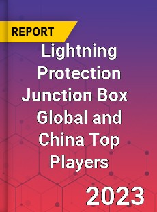 Lightning Protection Junction Box Global and China Top Players Market