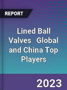 Lined Ball Valves Global and China Top Players Market