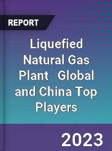 Liquefied Natural Gas Plant Global and China Top Players Market